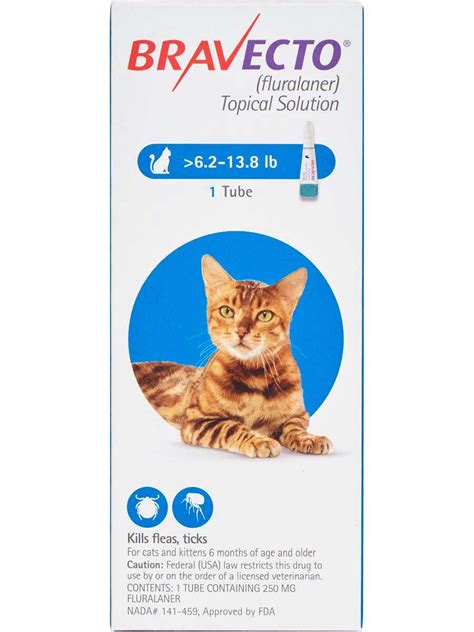 Bravecto Cat: An Effective and Convenient Flea and Tick Treatment