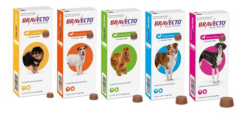 Bravecto Chews for Dogs: A Revolutionary Flea and Tick Killer