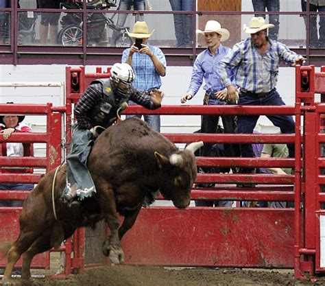 Braving the Bulls: Irving's Bull Riding Dominance