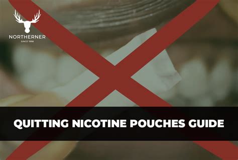 Break Free from the Shackles of Zyn: A Comprehensive Guide to Quitting Nicotine Pouches