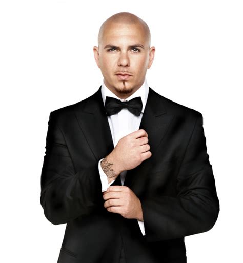 Breakdown of Pitbull's Net Worth