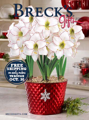 Brecks Gifts Catalog