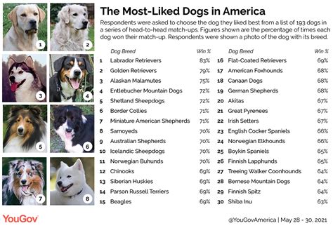 Breed Popularity: