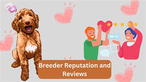 Breeder's Reputation and Experience