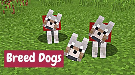 Breeding Dogs in Minecraft: A Comprehensive Guide for Pet Owners