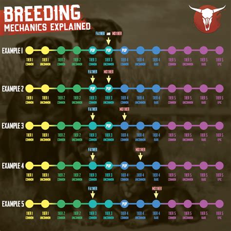 Breeding Mechanics