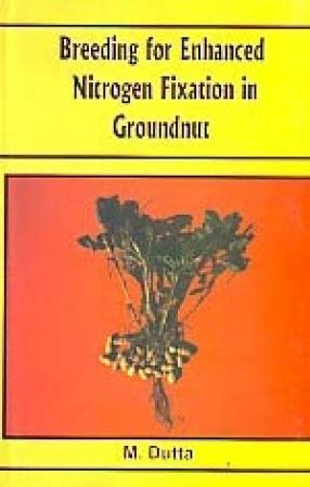 Breeding for Enhanced Nitrogen Fixation in Groundnut Reader