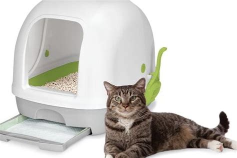 Breeze System Cat Litter: The Ultimate Guide