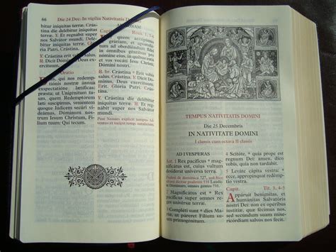 Breviarium Lucionense... Epub