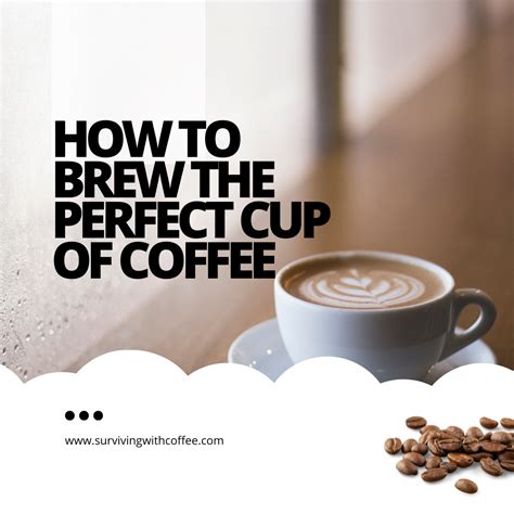 Brew the Perfect Cup at FoodClique Coffee Shop