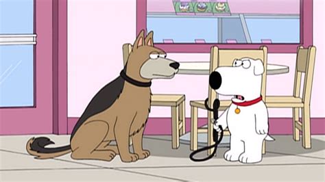 Brian the Dog in Family Guy: A Literary Analysis