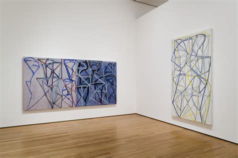 Brice Marden Paintings and Drawings