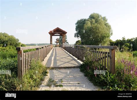 Bridge at Andau PDF
