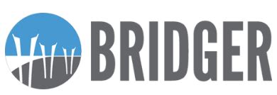 Bridger Insurance: A Leading Provider of Affordable Insurance Solutions