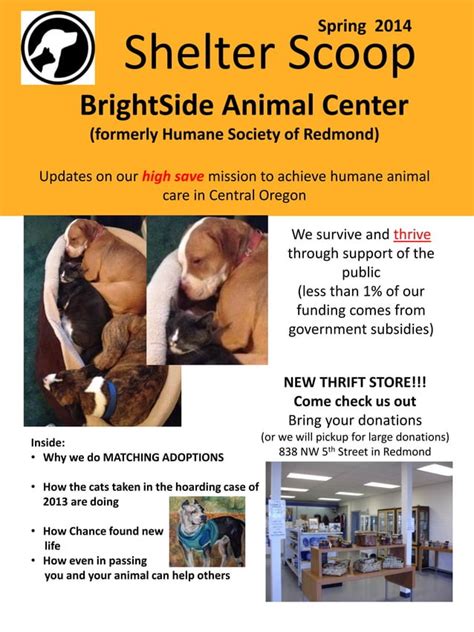 BrightSide Animal Shelter