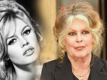 Brigitte Bardot: Icône de beauté, fervente protectrice des animaux