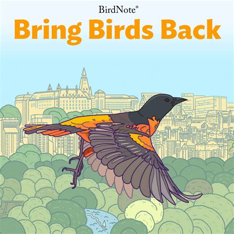 Bring On the Birds PDF