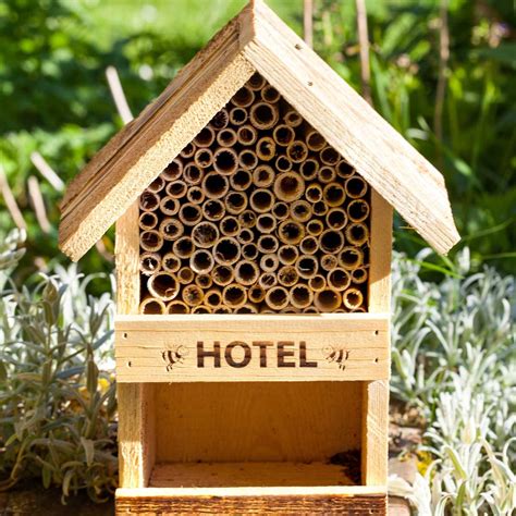 Bring Your Garden to Life: The Buzz on Bug Hotels (Insect Boxes)