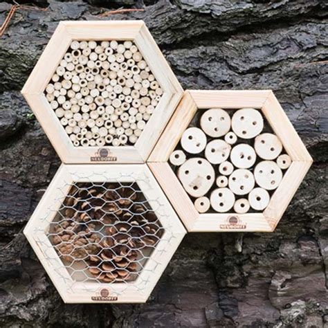 Bring Your Garden to Life: The Buzz on Insect Boxes