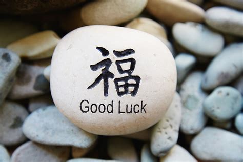 Bring good luck and fortune: