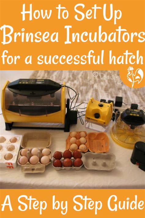 Brinsea Egg Hatcher: A Comprehensive Guide to Successful Incubation