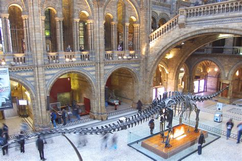 British Natural History Museum: Unlocking 150 Years of Natural Wonders