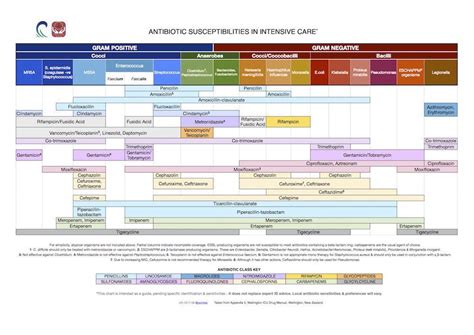 Broad-spectrum antimicrobial activity: