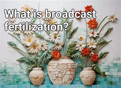 Broadcast Fertilization: