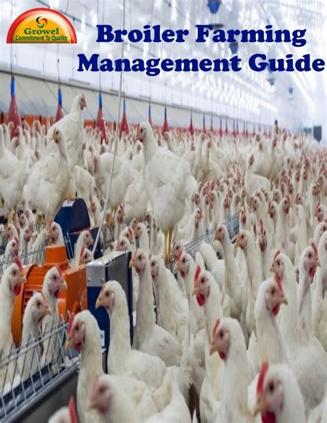 Broiler Farming and Management PDF