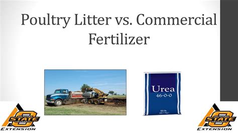 Broiler Litter Fertilizer: 10,000+ Facts You Need to Know