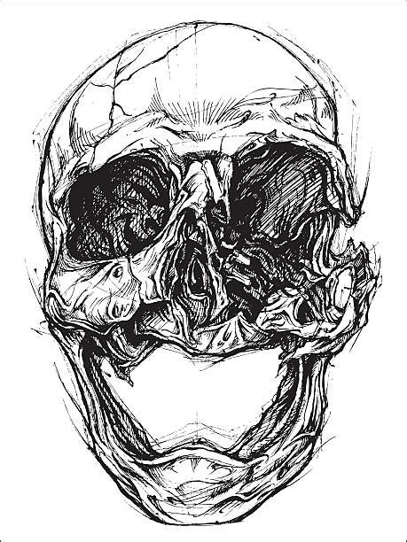 Broken Skull Drawing: A Masterpiece of Darkness and Despair