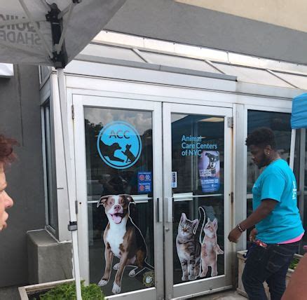 Brooklyn Animal Care Center: A Beacon of Hope for NYC's Animals