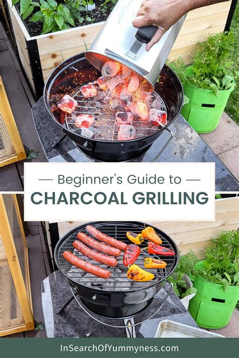 Brother n Law's BBQ: 2023's Ultimate Grilling Guide for Beginners