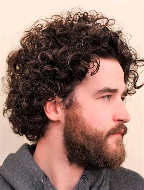 Brown Monofilament Short Synthetic Voluminous Tight Curls Men Wigs