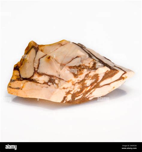 Brown Zebra Jasper: A Striking Gemstone with Healing Properties