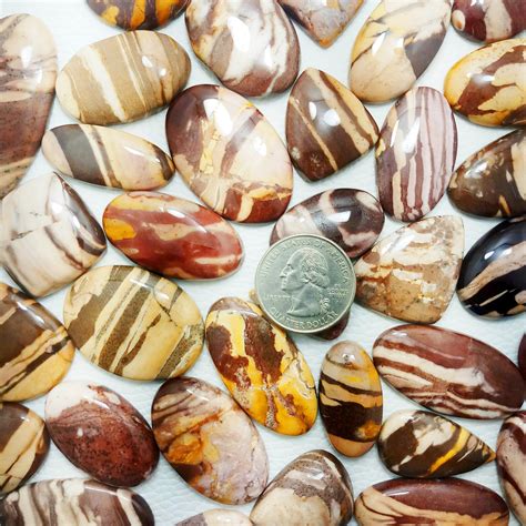 Brown Zebra Jasper Mineral: Exploring the Vibrant Realm of Earth's Treasures