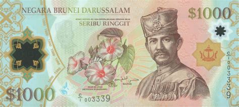 Brunei Currency: An In-Depth Exploration