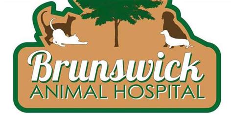 Brunswick Animal Hospital North Carolina: Your Pet's Healthcare Destination