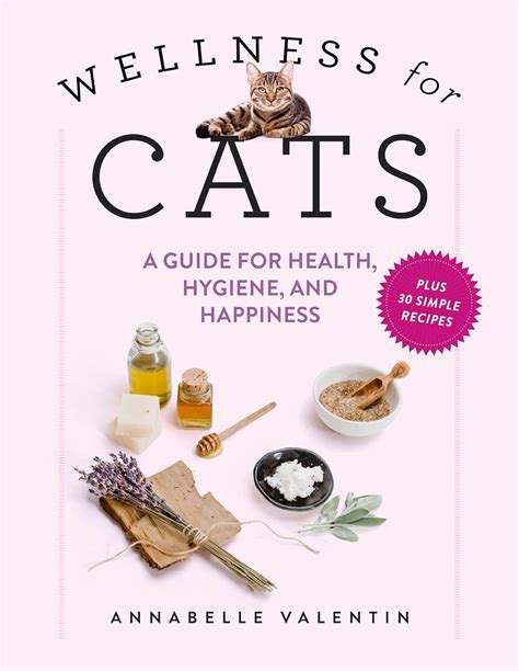 Brush and Scratch: A Comprehensive Guide to Cat Hygiene and Happiness