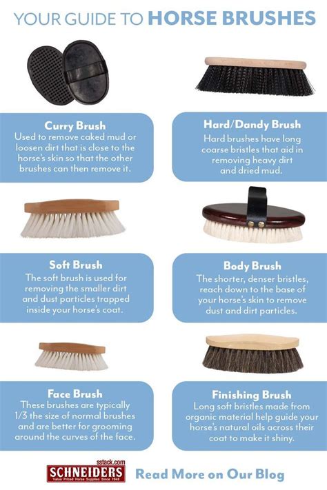 Brushes for Grooming Horses: An Extensive Guide for Optimal Coat Care