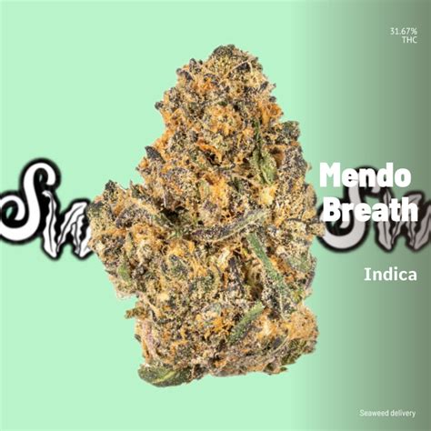 Bubbalicious4200: The Ultimate Guide to a Blissful Indica Experience