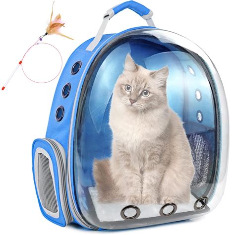 Bubble Backpack Cat Carrier: A Revolutionary Way to Transport Your Feline Friend