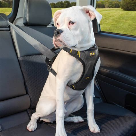 Buckle Up Fido: The Ultimate Guide to Dog Seat Belts for Safety and Peace of Mind