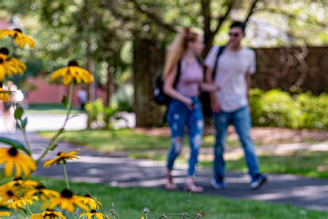 Bucks County Community College Spring 2017 Course Catalog