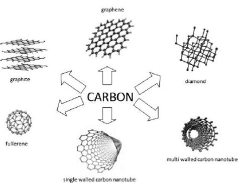 Bucky Wright: The Versatile Carbon Allotrope