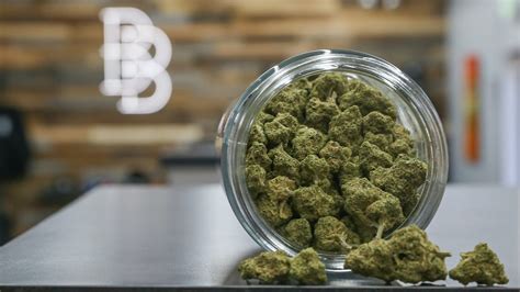Bud Brothers Battle Creek: A Comprehensive Analysis of the Cannabis Dispensary
