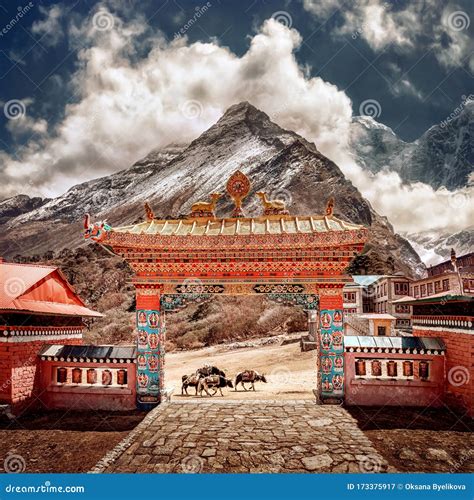 Buddhist Himalayas Epub