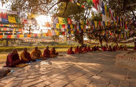 Buddhist Pilgrimage Reader