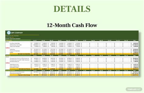 Budget And Cash Flow Template