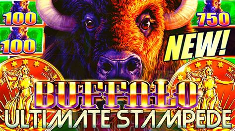 Buffalo Stampede Slot Machine: A Comprehensive Guide to Unleashing the Wild Reels